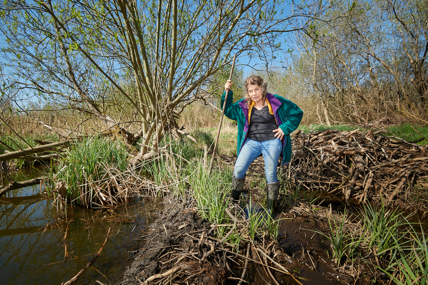 Mosekonen er gået i samspil med&nbsp;bæveren