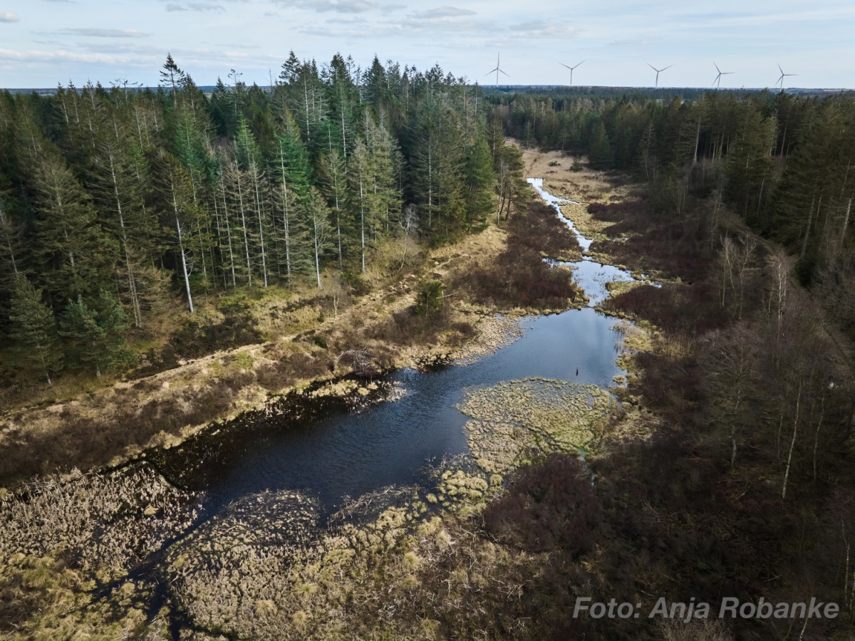 Bæverland set fra&nbsp;oven
