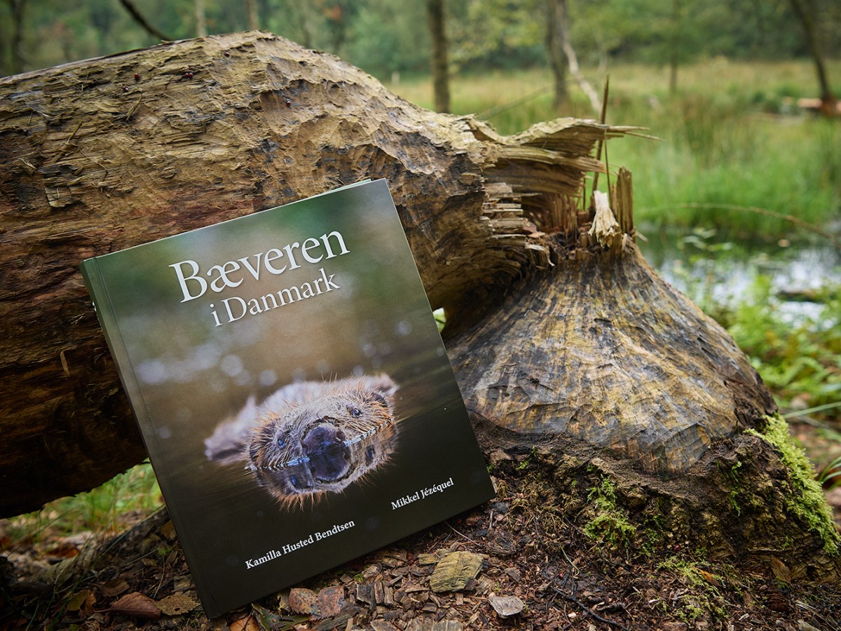 Nu kan du købe&nbsp;bogen