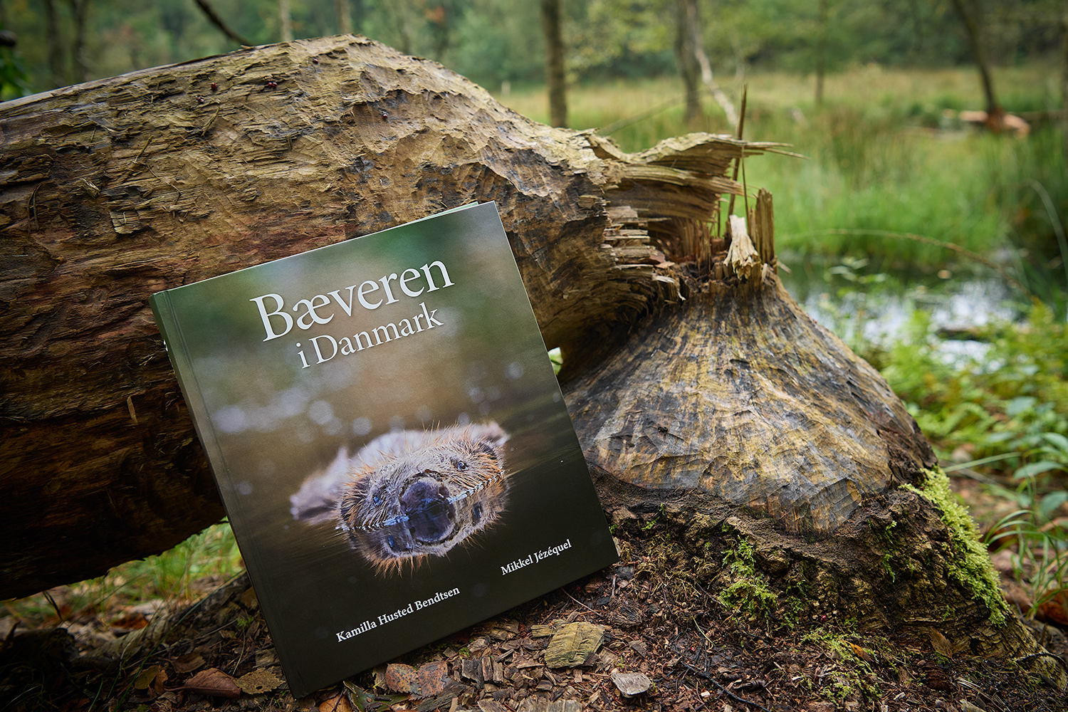 Nu kan du købe&nbsp;bogen